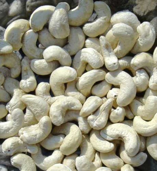 Cashew- Mus, weiß, 160ml, Bio Roh