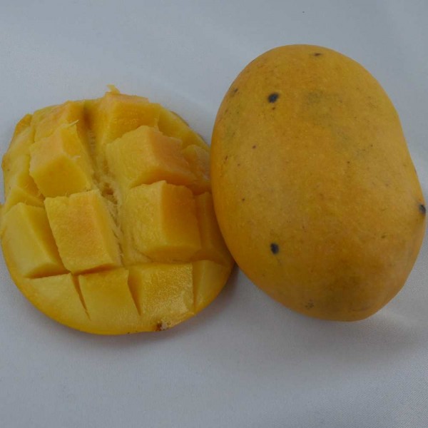 Frische Mangos, reif und süß, Stück